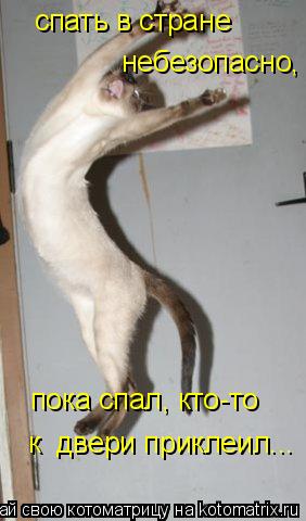 спать в стране небезопасно, пока спал, кто-то к двери приклеил...... Котоматрица: спать в стране небезопасно, пока спал, кто-то к двери приклеил...