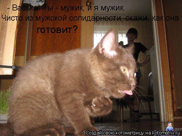 Котоматрица: - Васька! Ты - мужик, и я мужик.  Чисто из мужской солидарности, скажи, как она  готовит?