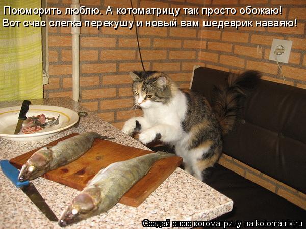 Котоматрица: Поюморить люблю. А котоматрицу так просто обожаю! Вот счас слегка перекушу и новый вам шедеврик наваяю!