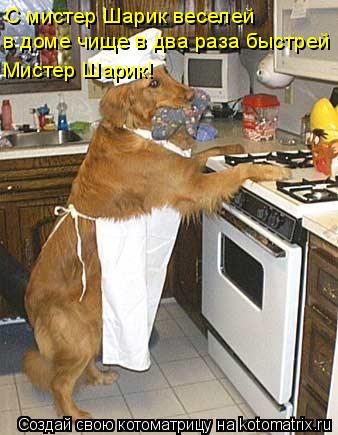 С мистер Шарик веселей в доме чище в два раза быстрей Мистер Шарик!... Котоматрица: С мистер Шарик веселей в доме чище в два раза быстрей Мистер Шарик!