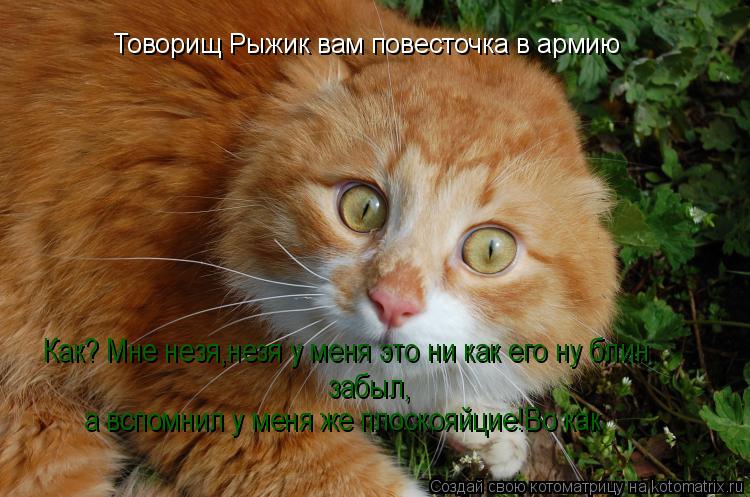 Товорищ Рыжик вам повесточка в армию Как? Мне незя,незя у меня это ни как его ну блин забыл, а всп... Котоматрица: Товорищ Рыжик вам повесточка в армию Как? Мне незя,незя у меня это ни как его ну блин забыл, а вспомнил у меня же плоскояйцие!Во как