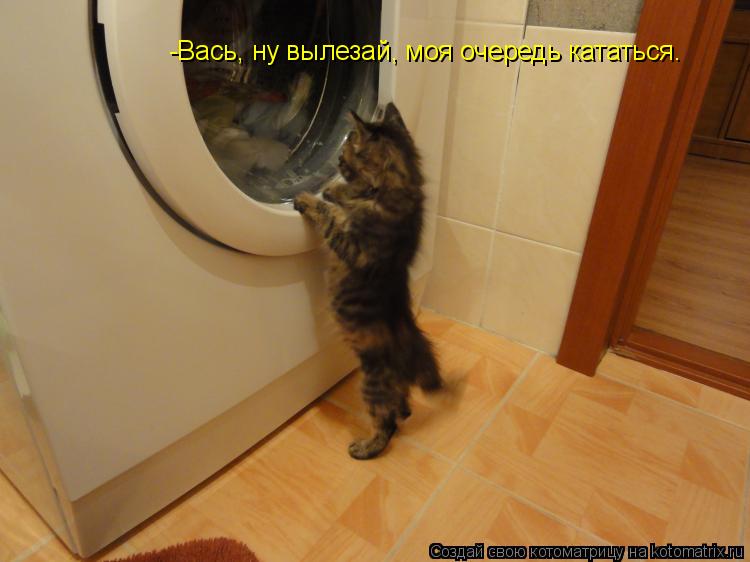 -Вась, ну вылезай, моя очередь кататься.... Котоматрица: -Вась, ну вылезай, моя очередь кататься.