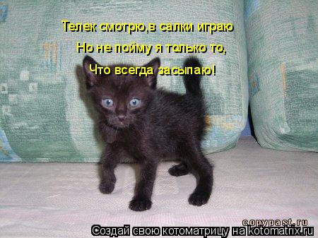 Телек смотрю,в салки играю Но не пойму я только то, Что всегда засыпаю!... Котоматрица: Телек смотрю,в салки играю Но не пойму я только то, Что всегда засыпаю!