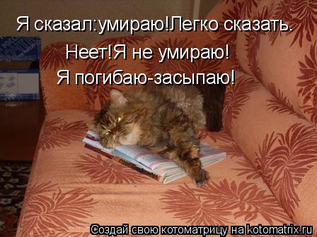Я сказал:умираю!Легко сказать. Неет!Я не умираю! Я погибаю-засыпаю!... Котоматрица: Я сказал:умираю!Легко сказать. Неет!Я не умираю! Я погибаю-засыпаю!