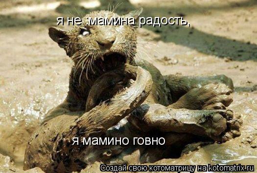 я не :мамина радость, я мамино говно... Котоматрица: я не :мамина радость, я мамино говно