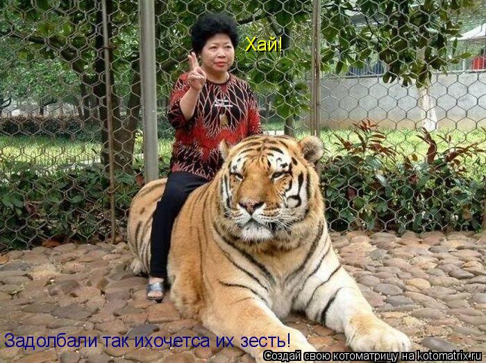 Задолбали так ихочетса их зесть! Хай!... Котоматрица: Задолбали так ихочетса их зесть! Хай!