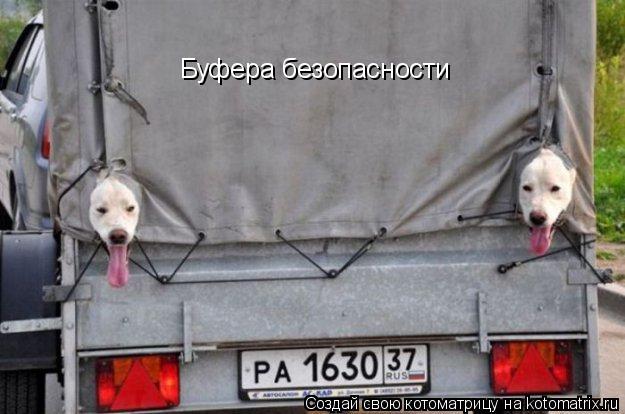 Буфера безопасности... Котоматрица: Буфера безопасности