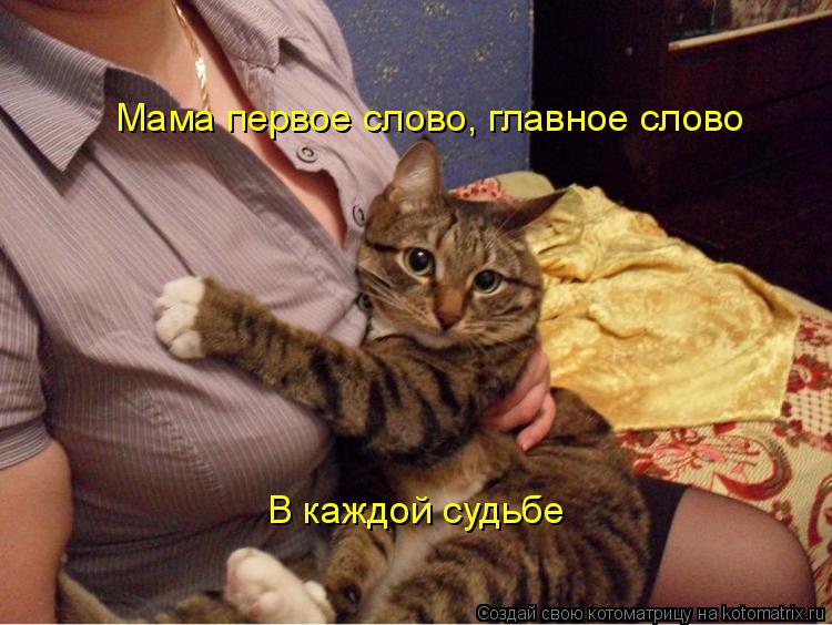 Мама первое слово, главное слово В каждой судьбе... Котоматрица: Мама первое слово, главное слово В каждой судьбе