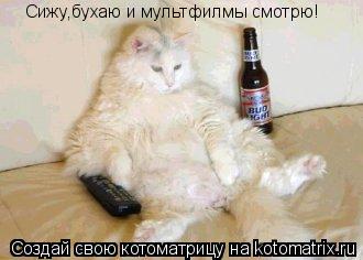 Котоматрица: Сижу,бухаю и мультфилмы смотрю!