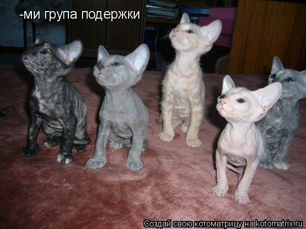 -ми група подержки... Котоматрица: -ми група подержки