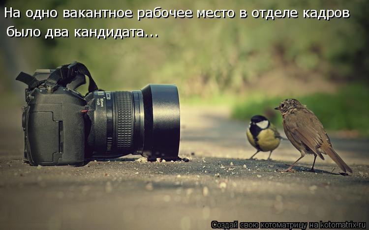 На одно вакантное рабочее место в отделе кадров было два кандидата...... Котоматрица: На одно вакантное рабочее место в отделе кадров было два кандидата...