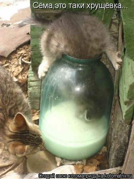 Котоматрица: Сёма,это таки хрущёвка...