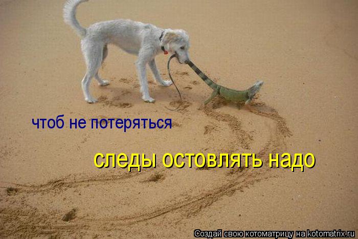 чтоб не потеряться следы остовлять надо... Котоматрица: чтоб не потеряться следы остовлять надо