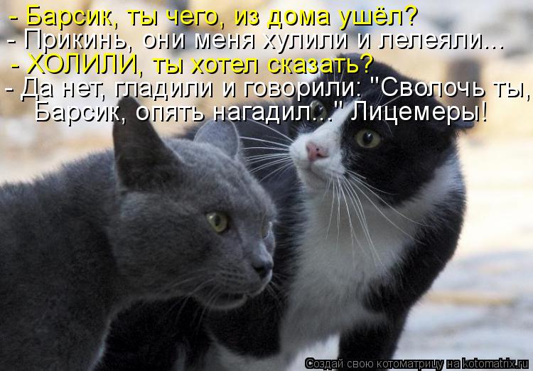 - Барсик, ты чего, из дома ушёл? - Прикинь, они меня хулили и лелеяли... - ХОЛИЛИ, ты хотел сказать? ... Котоматрица: - Барсик, ты чего, из дома ушёл? - Прикинь, они меня хулили и лелеяли... - ХОЛИЛИ, ты хотел сказать? - Да нет, гладили и говорили: "Сволочь ты, Барси