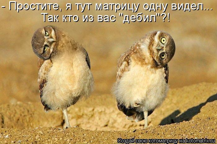 - Простите, я тут матрицу одну видел... Так кто из вас "дебил"?!... Котоматрица: - Простите, я тут матрицу одну видел... Так кто из вас "дебил"?!