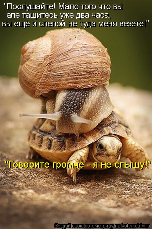 "Послушайте! Мало того что вы еле тащитесь уже два часа, вы ещё и слепой-не туда меня везете!" "Гов... Котоматрица: "Послушайте! Мало того что вы еле тащитесь уже два часа, вы ещё и слепой-не туда меня везете!" "Говорите громче - я не слышу!"