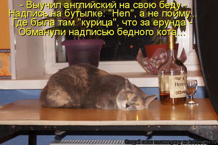 - Выучил английский на свою беду - Надпись на бутылке: "Hen", а не пойму... Где была там "курица", ч... Котоматрица: - Выучил английский на свою беду - Надпись на бутылке: "Hen", а не пойму... Где была там "курица", что за ерунда - Обманули надписью бедного кота...