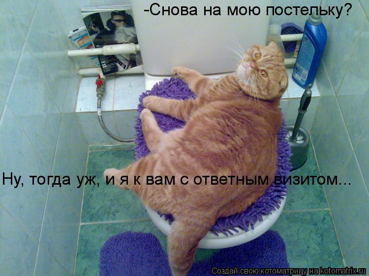 -Снова на мою постельку? Ну, тогда уж, и я к вам с ответным визитом...... Котоматрица: -Снова на мою постельку? Ну, тогда уж, и я к вам с ответным визитом...