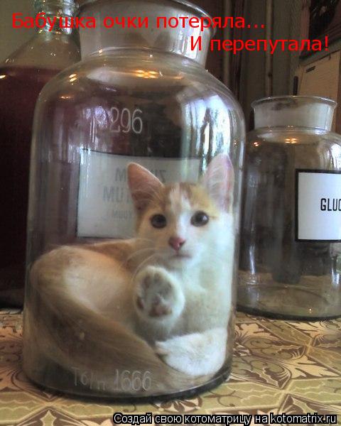 Котоматрица: Бабушка очки потеряла... И перепутала!