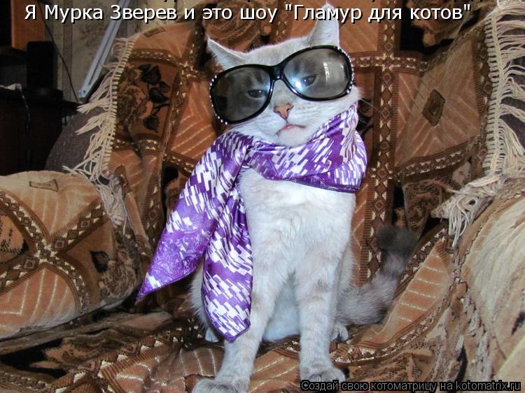 Я Мурка Зверев и это шоу "Гламур для котов" Я Мурка Зверев и это шоу "Гламур для котов"... Котоматрица: Я Мурка Зверев и это шоу "Гламур для котов" Я Мурка Зверев и это шоу "Гламур для котов"