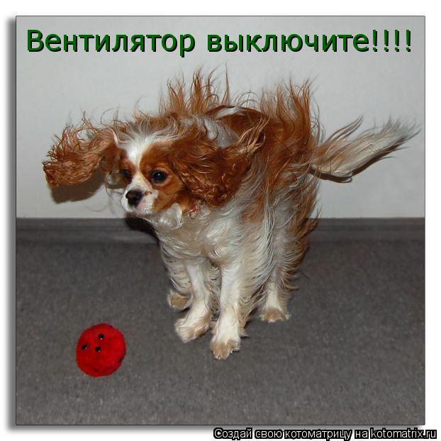 Котоматрица: Вентилятор выключите!!!!