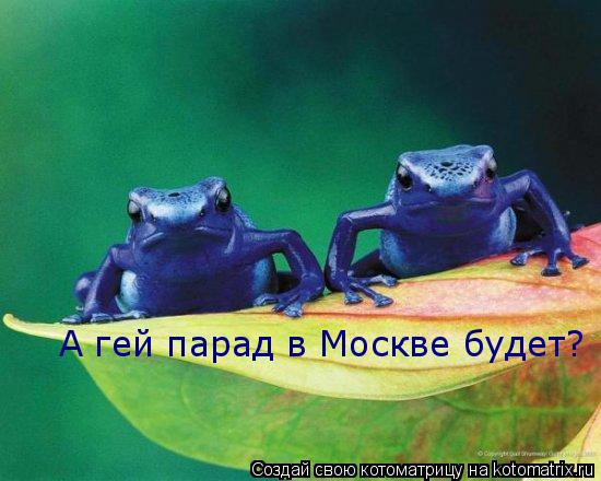 Котоматрица: А гей парад в Москве будет?