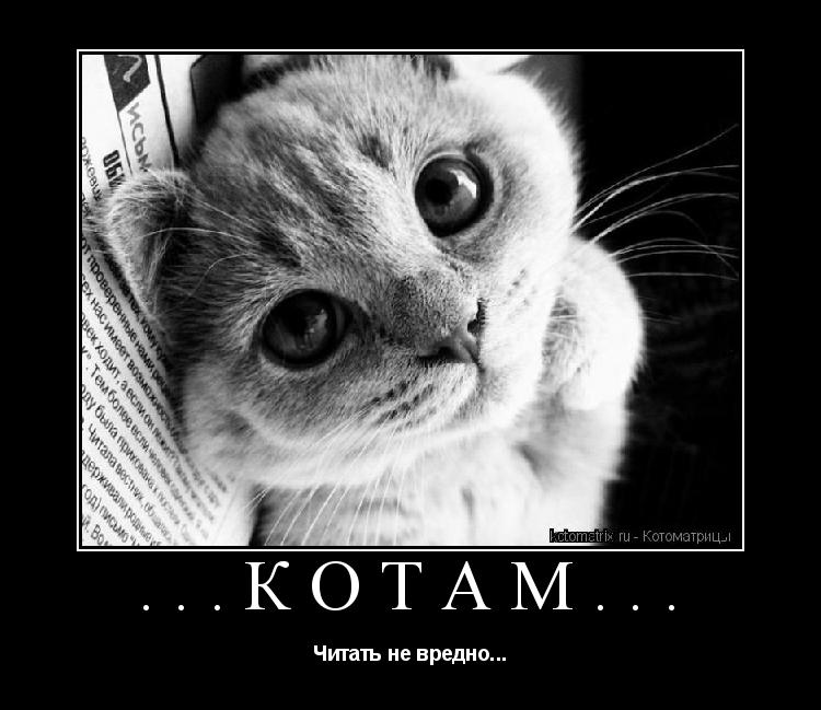 Котоматрица: ...Котам... Читать не вредно...