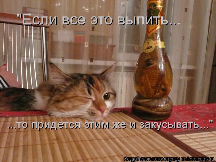 "Если все это выпить... ...то придется этим же и закусывать..."... Котоматрица: "Если все это выпить... ...то придется этим же и закусывать..."