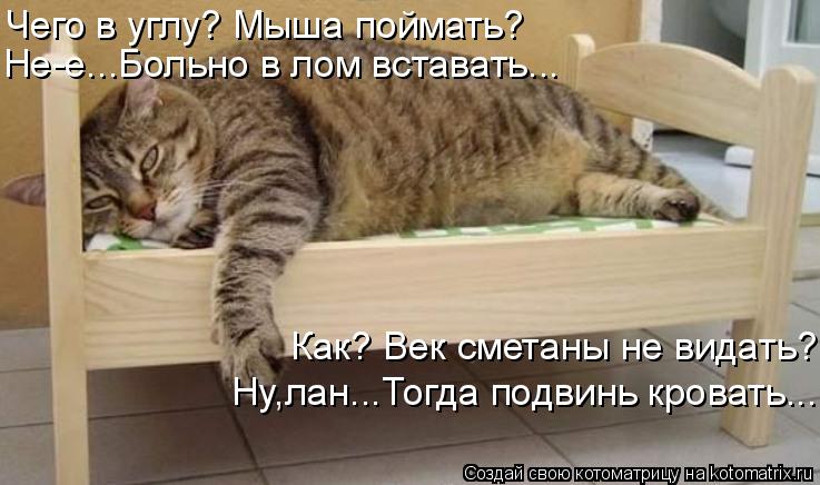   ?  ? -...   ... ?    ? ,...  ...
