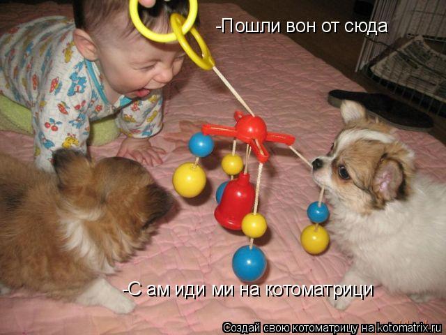 -Пошли вон от сюда -С ам иди ми на котоматрици... Котоматрица: -Пошли вон от сюда -С ам иди ми на котоматрици