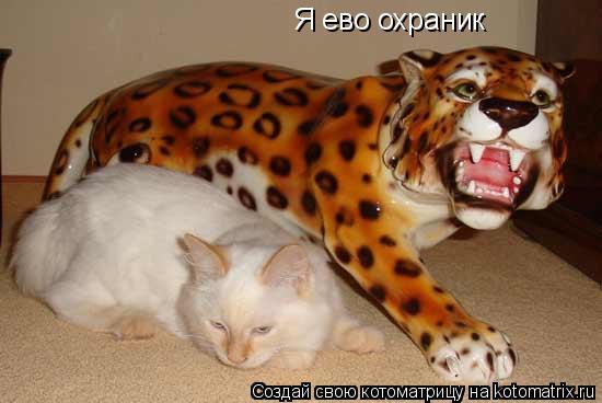 Я ево охраник... Котоматрица: Я ево охраник