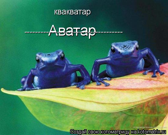 Аватар ------------------------------------ квакватар... Котоматрица: Аватар ------------------------------------ квакватар