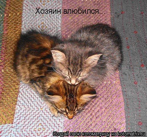 Хозяин влюбился...... Котоматрица: Хозяин влюбился...