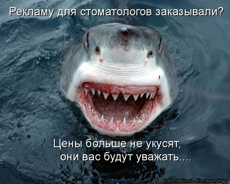 Котоматрица: Рекламу для стоматологов заказывали? они вас будут уважать.... Цены больше не укусят,