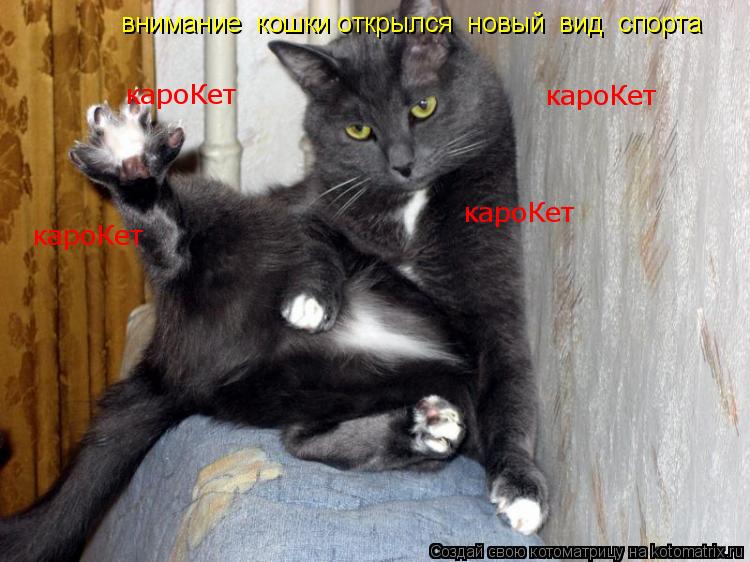 внимание кошки открылся новый вид спорта кароКет кароКет кароКет кароКет... Котоматрица: внимание кошки открылся новый вид спорта кароКет кароКет кароКет кароКет