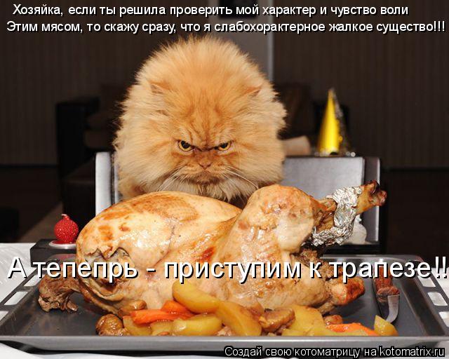 Хозяйка, если ты решила проверить мой характер и чувство воли Этим мясом, то скажу сразу, что я слабо... Котоматрица: Хозяйка, если ты решила проверить мой характер и чувство воли Этим мясом, то скажу сразу, что я слабохорактерное жалкое существо!!! А тепепрь