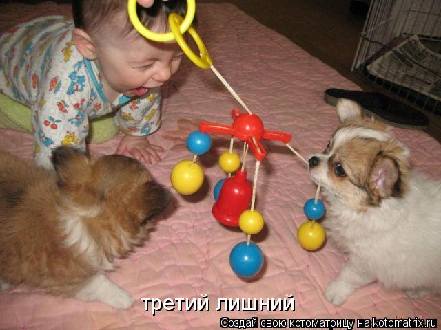 Котоматрица: третий лишний