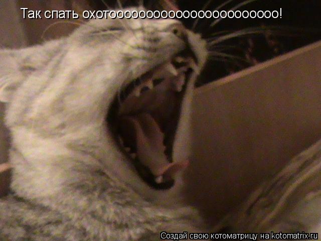 Котоматрица: Так спать охотооооооооооооооооооооооо! Мур-мур-мур Так спать охотооооооооооооооооооооооо! Мур-мур-мур Так спать охотооооооооооооооооооо