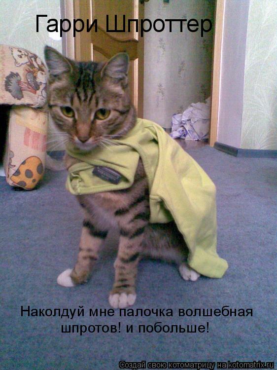 Котоматрица: Гарри Шпроттер Наколдуй мне палочка волшебная шпротов! и побольше!