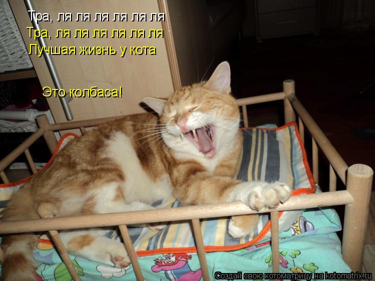 Тра, ля ля ля ля ля ля Тра, ля ля ля ля ля ля Лучшая жизнь у кота Это колбаса!... Котоматрица: Тра, ля ля ля ля ля ля Тра, ля ля ля ля ля ля Лучшая жизнь у кота Это колбаса!