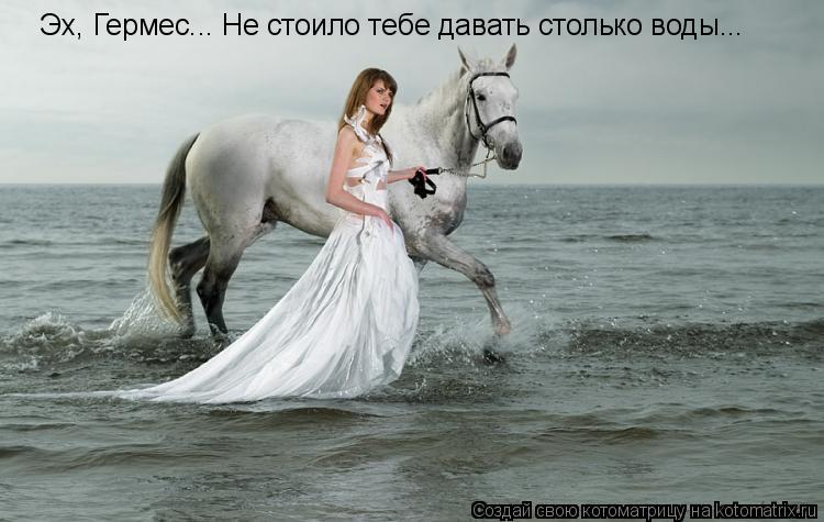 Котоматрица: Эх, Гермес... Не стоило тебе давать столько воды...