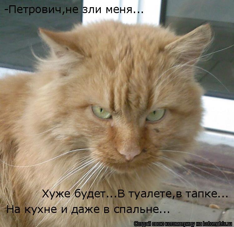 -Петрович,не зли меня... Хуже будет...В туалете,в тапке... На кухне и даже в спальне...... Котоматрица: -Петрович,не зли меня... Хуже будет...В туалете,в тапке... На кухне и даже в спальне...