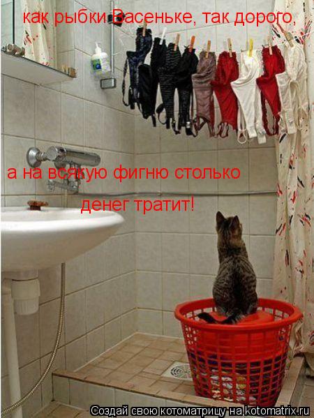 как рыбки Васеньке, так дорого, а на всякую фигню столько денег тратит!... Котоматрица: как рыбки Васеньке, так дорого, а на всякую фигню столько денег тратит!
