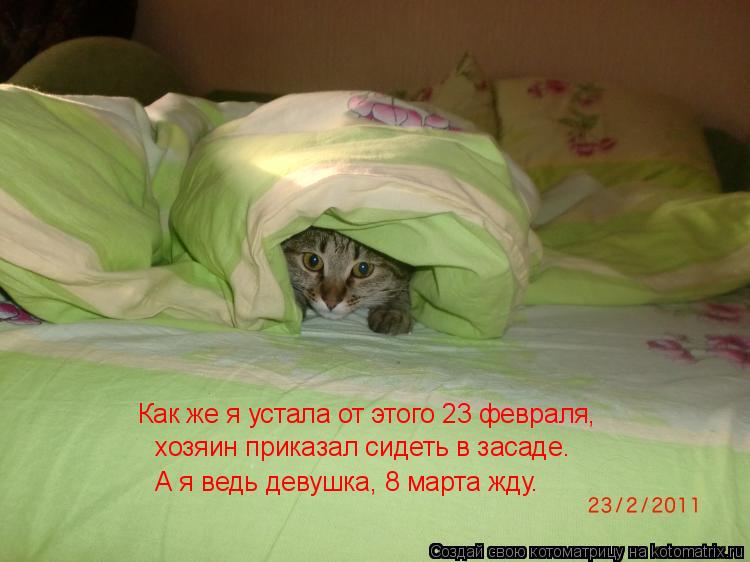 Как же я устала от этого 23 февраля, хозяин приказал сидеть в засаде. А я ведь девушка, 8 марта жду.... Котоматрица: Как же я устала от этого 23 февраля, хозяин приказал сидеть в засаде. А я ведь девушка, 8 марта жду.