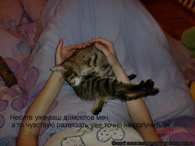 Несите уже ваш домоклов меч, а то чувствую развязать уже точно не получиться...... Котоматрица: Несите уже ваш домоклов меч, а то чувствую развязать уже точно не получиться...