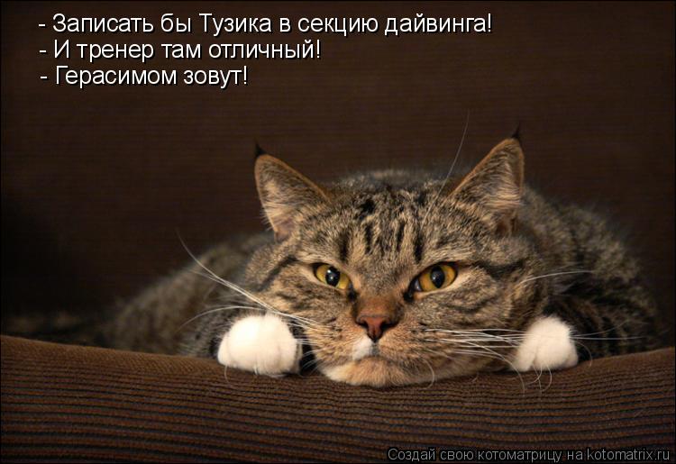 - Записать бы Тузика в секцию дайвинга! - И тренер там отличный! - Герасимом зовут!... Котоматрица: - Записать бы Тузика в секцию дайвинга! - И тренер там отличный! - Герасимом зовут!