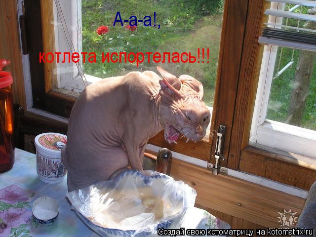А-а-а!, котлета испортелась!!!... Котоматрица: А-а-а!, котлета испортелась!!!