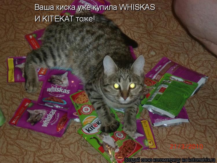 Ваша киска уже купила WHISKAS И KITEKAT тоже!... Котоматрица: Ваша киска уже купила WHISKAS И KITEKAT тоже!