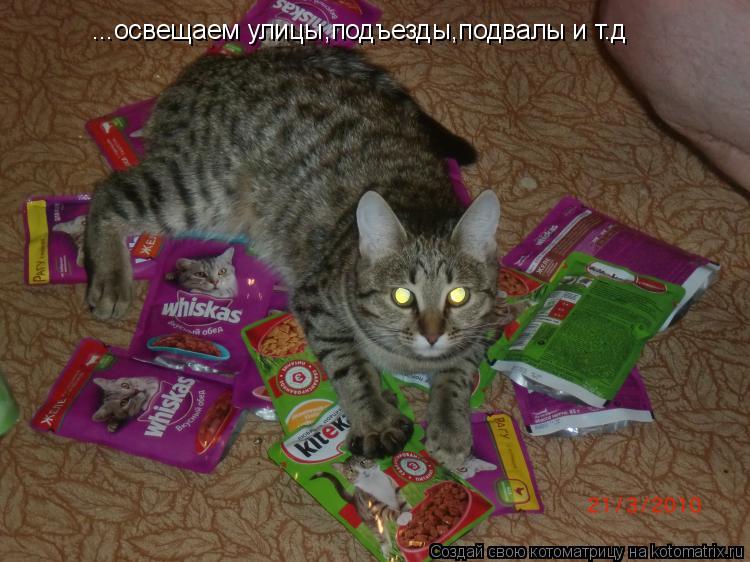 ...освещаем улицы,подъезды,подвалы и т.д... Котоматрица: ...освещаем улицы,подъезды,подвалы и т.д