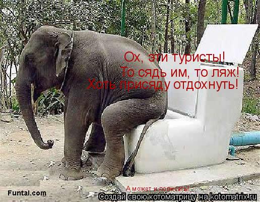 Ох, эти туристы! То сядь им, то ляж! Хоть присяду отдохнуть! А может и пописать!... Котоматрица: Ох, эти туристы! То сядь им, то ляж! Хоть присяду отдохнуть! А может и пописать!